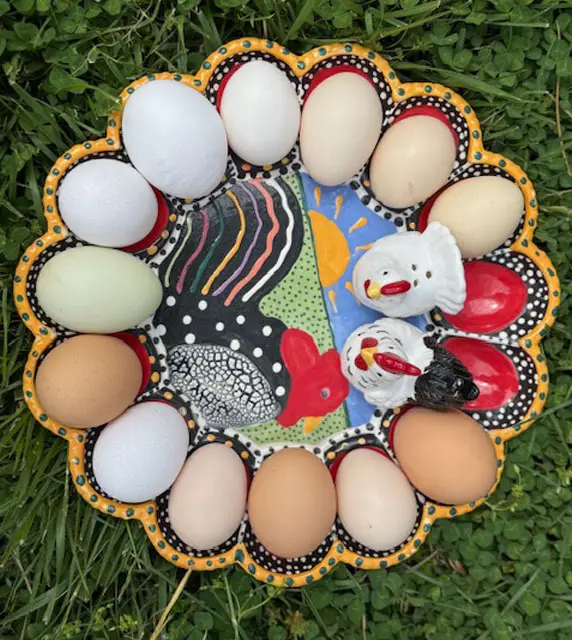 fresh eggs for sale in blue ridge, georgia