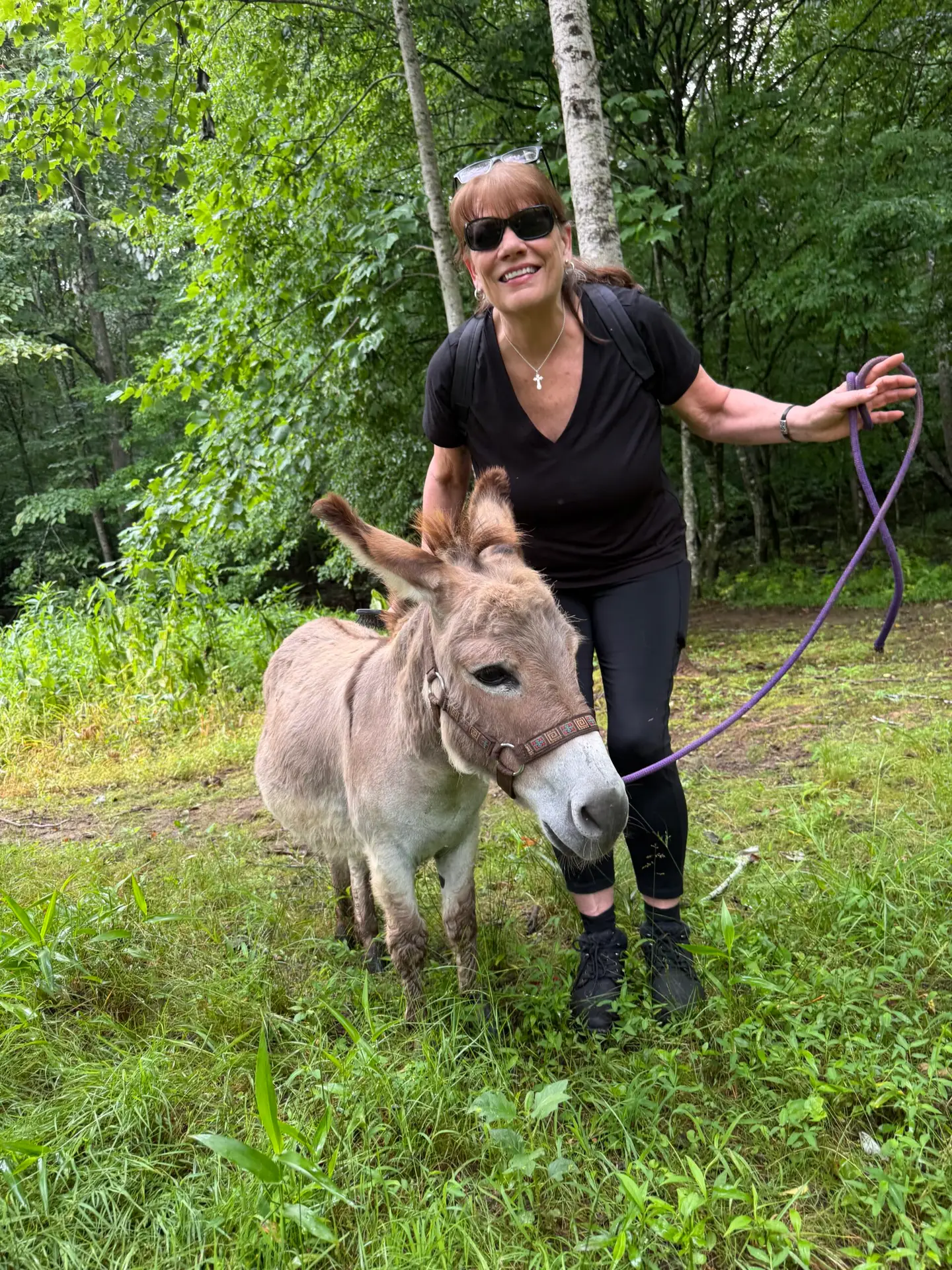 Donkey Treks North Georgia