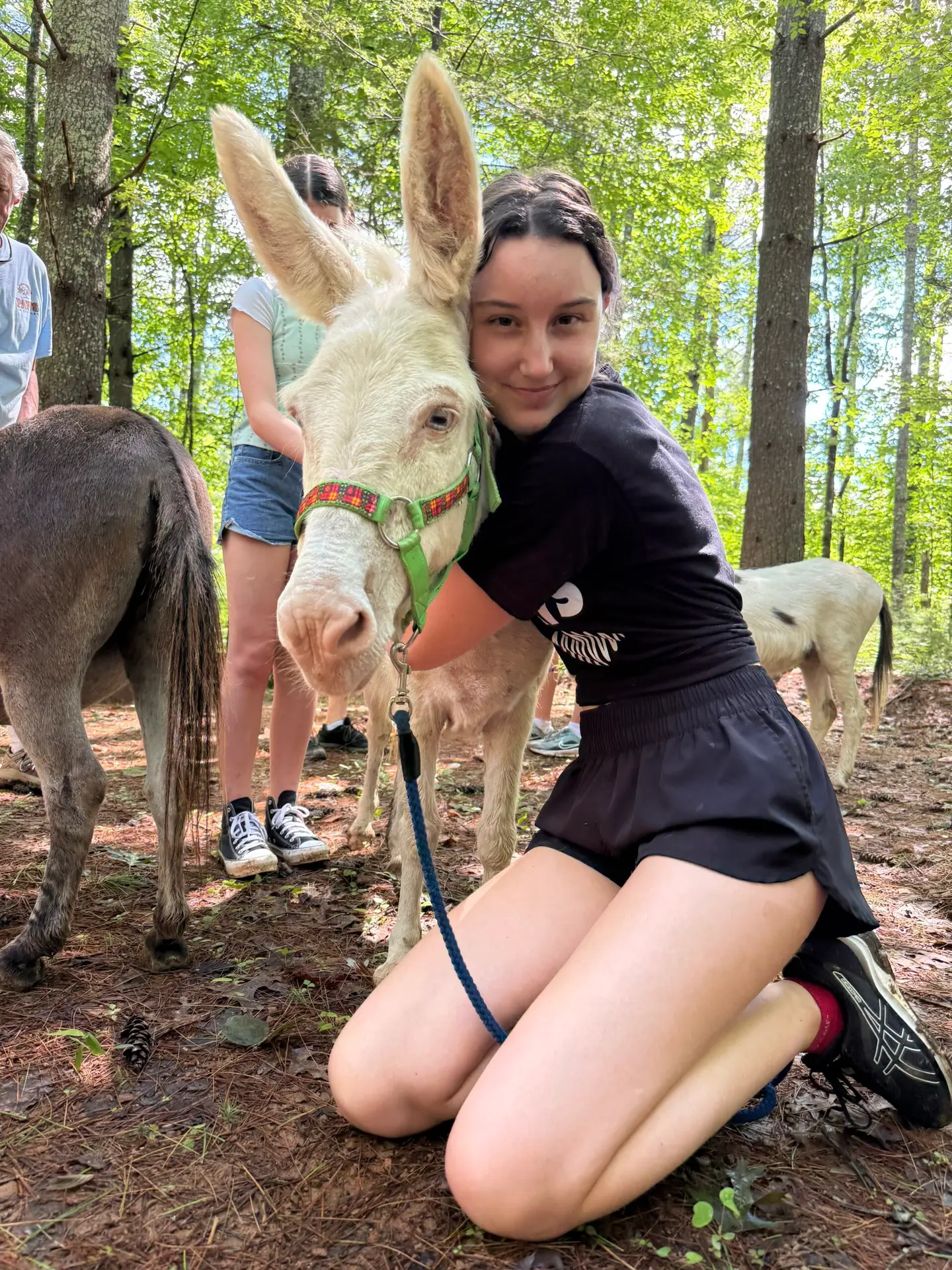 Donkey Treks North Georgia