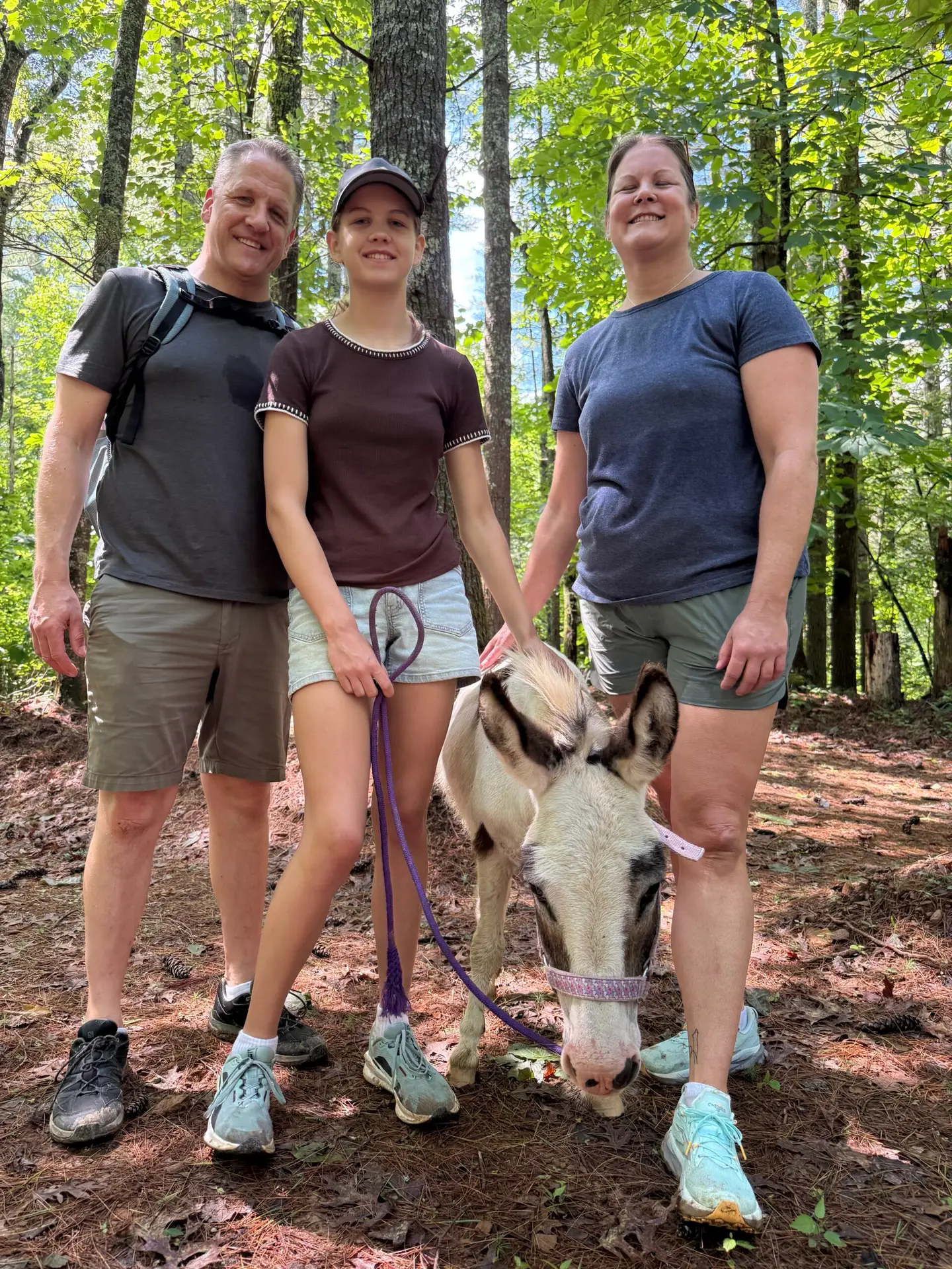 Donkey Treks North Georgia