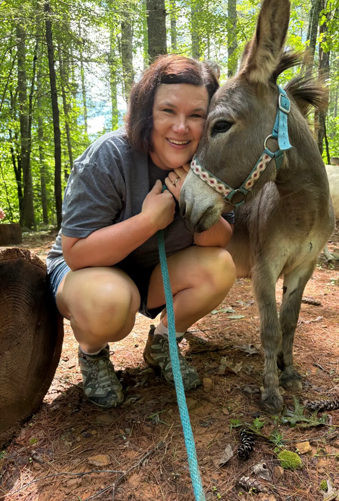 Donkey Treks North Georgia