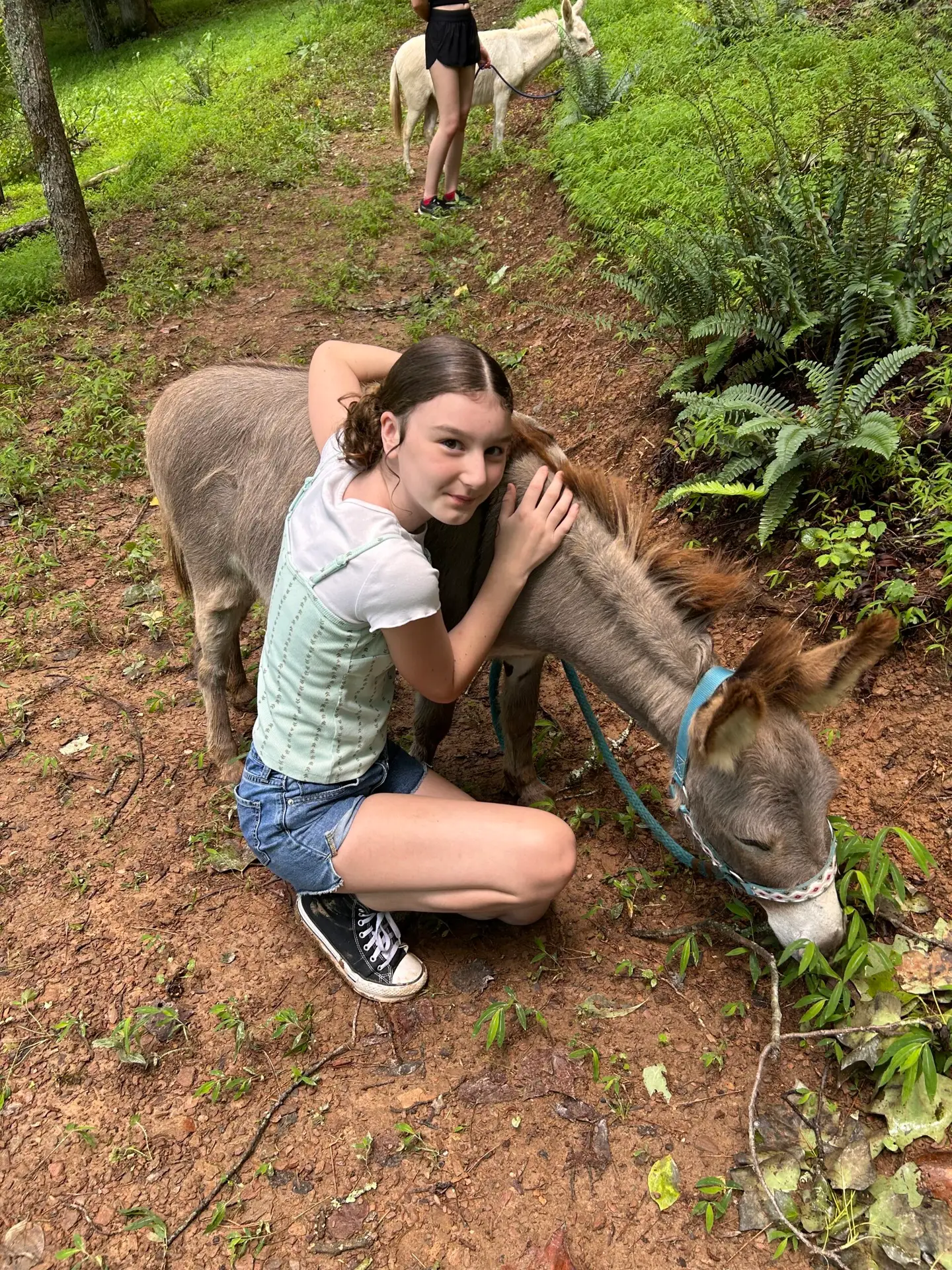 Family Fun Activities in north Georgia