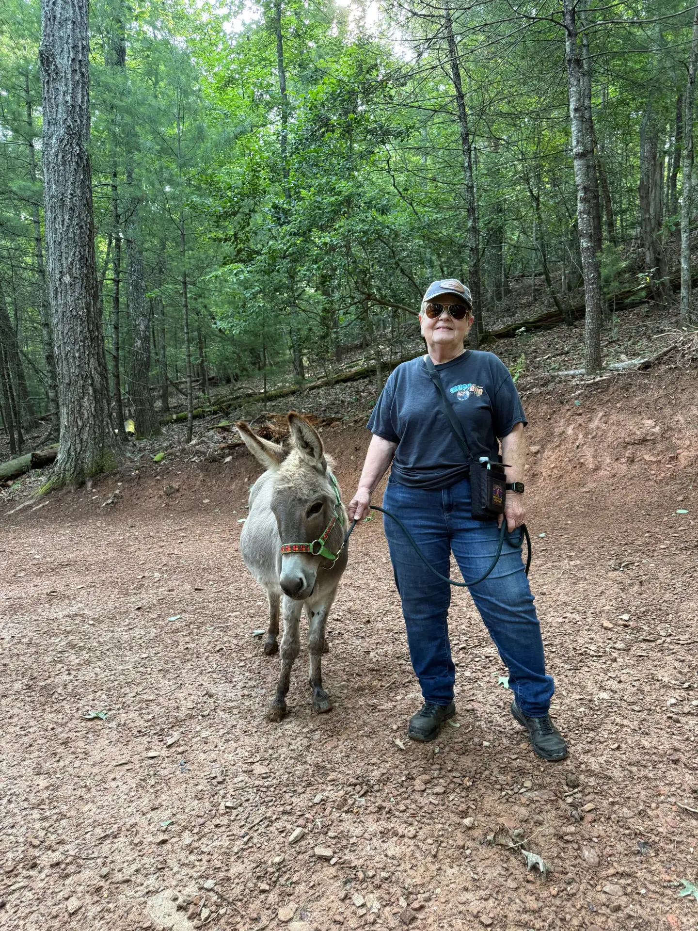 Family Fun Activities in north Georgia