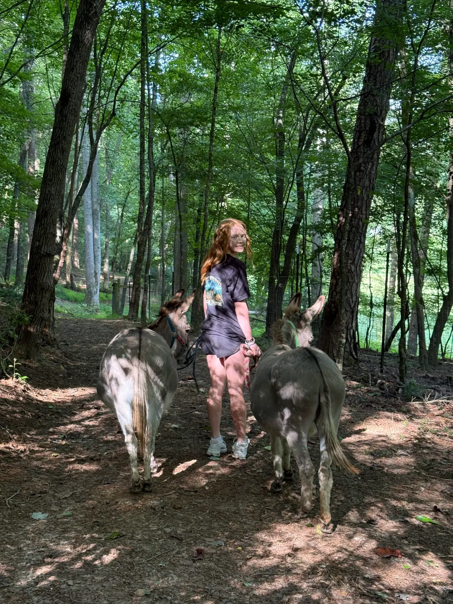 Family Fun Activities in north Georgia