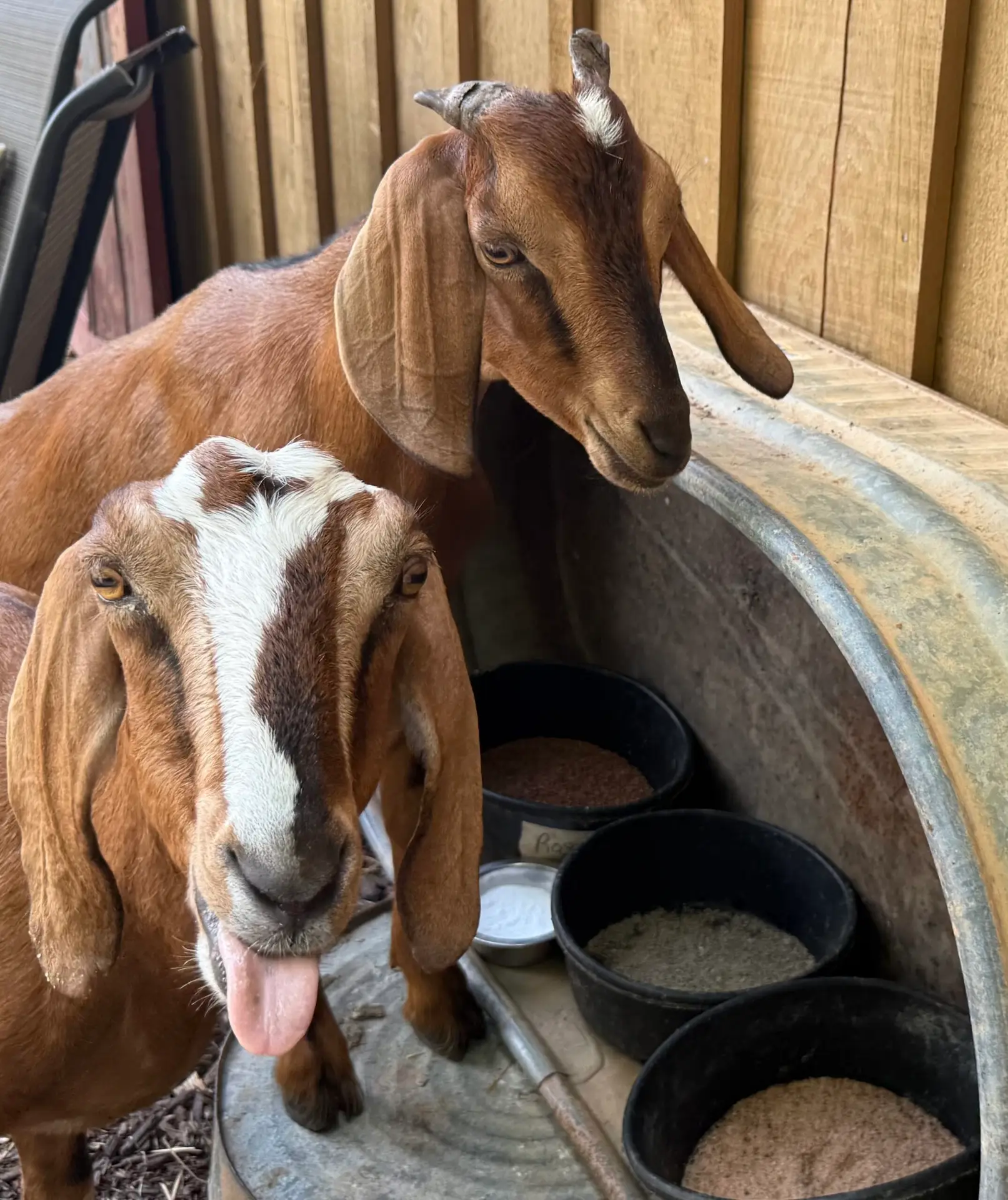 Farm Visits in north Georgia