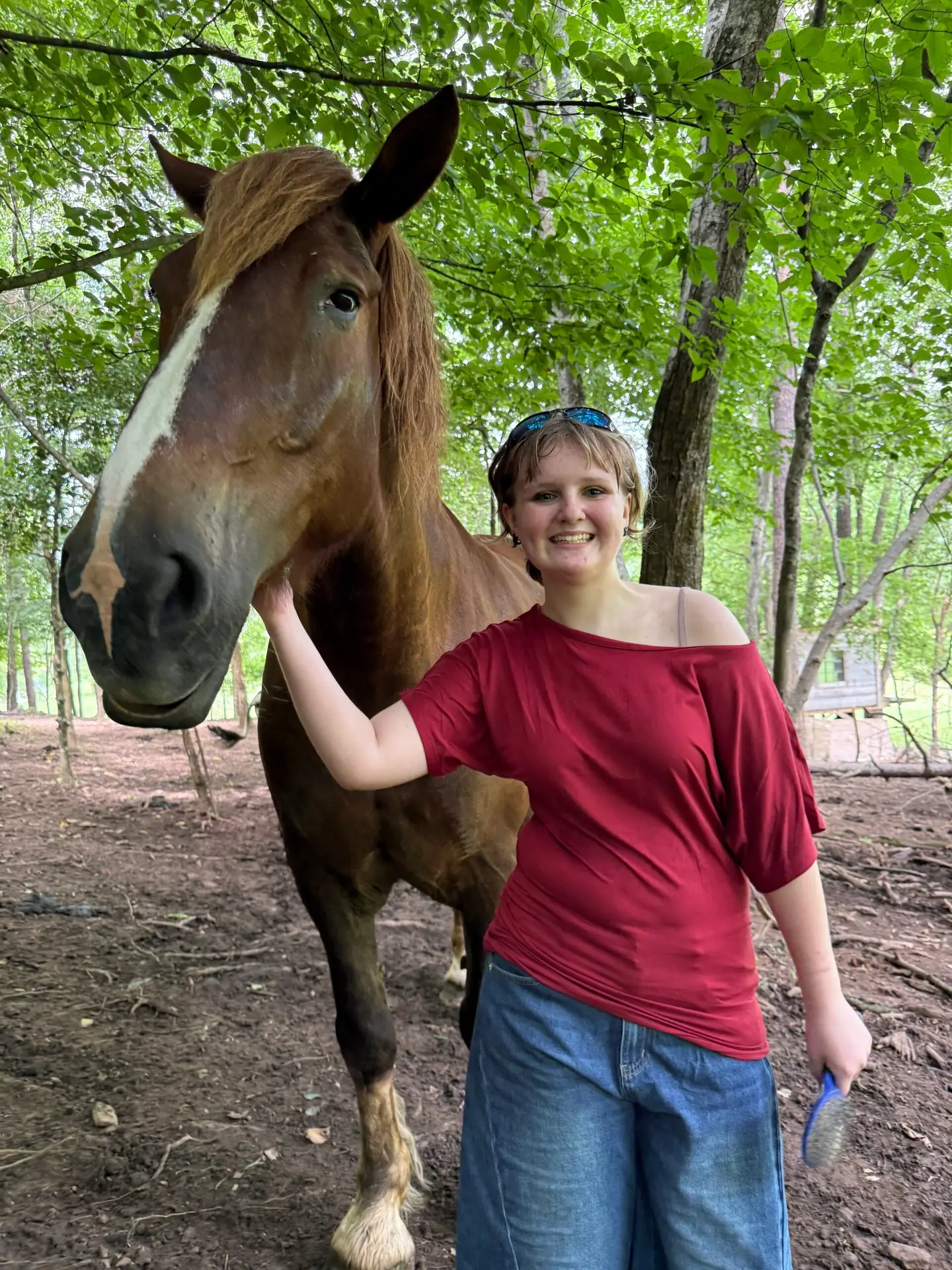 Horse Activities in north Georgia