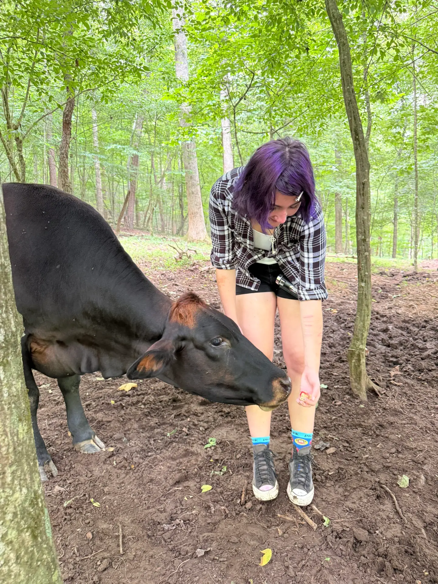 Farm Visits in north Georgia