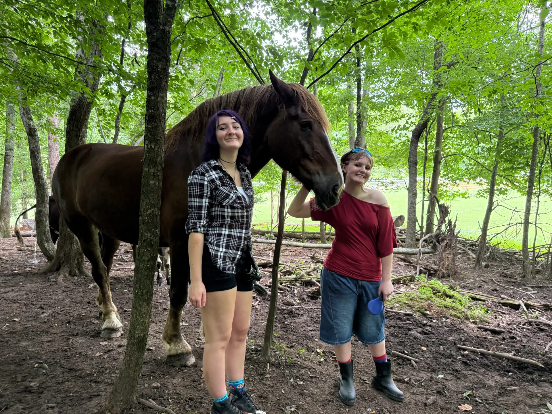 Horse Activities in north Georgia