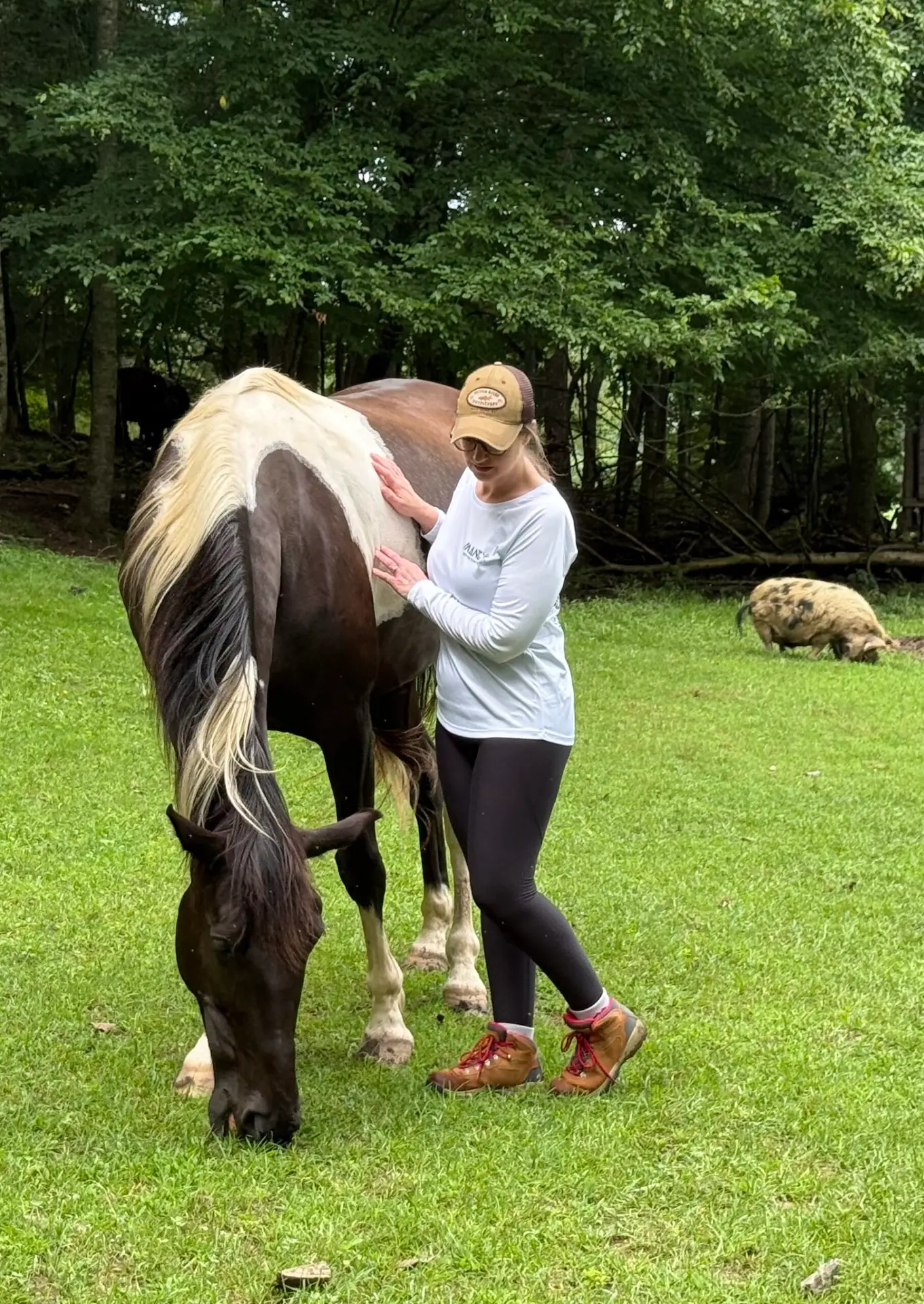 Horse Activities in north Georgia