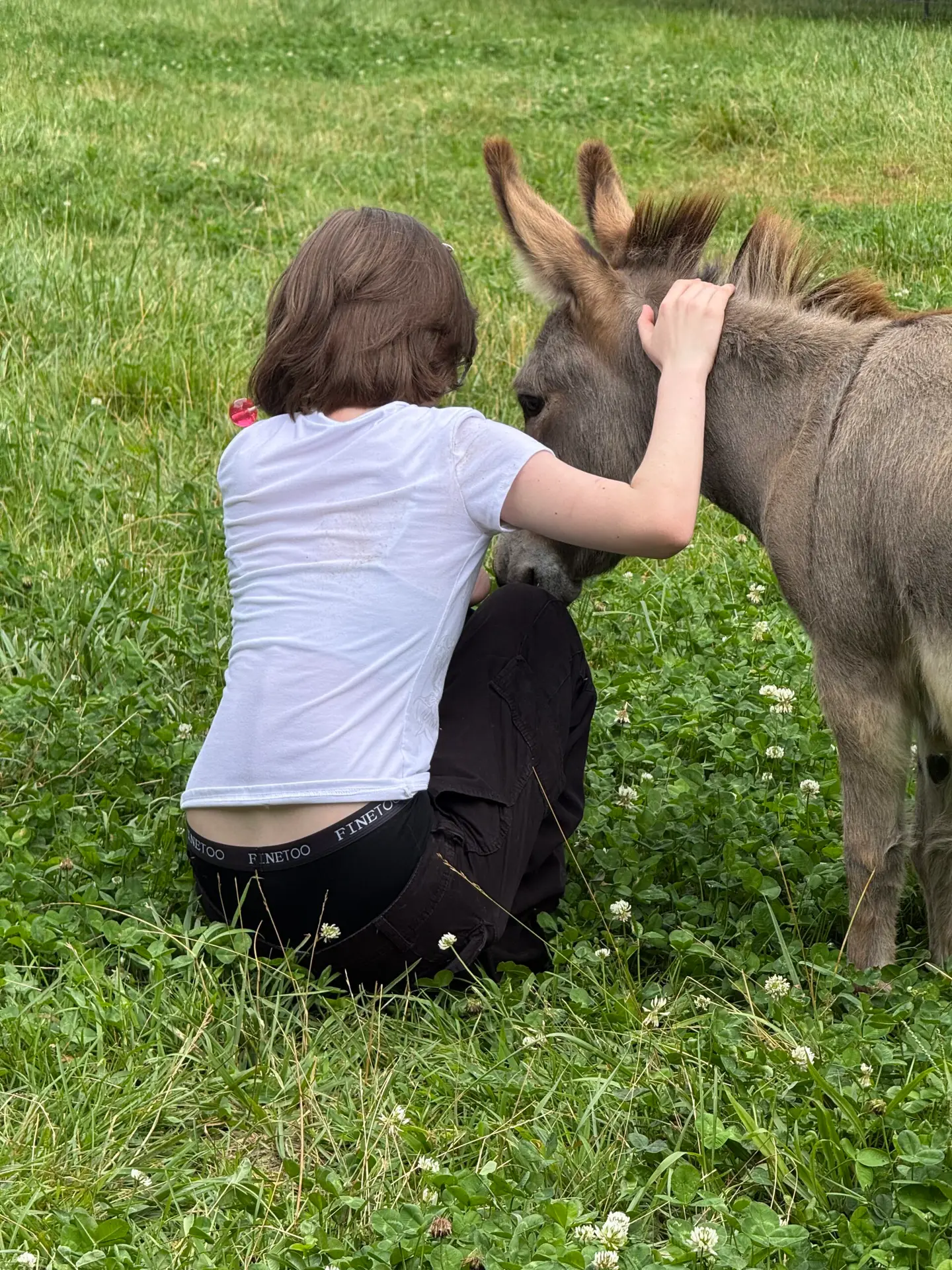 Family Fun Activities in north Georgia