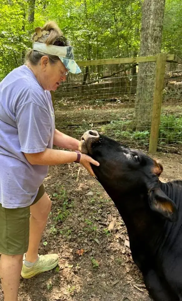 Farm Visits in north Georgia