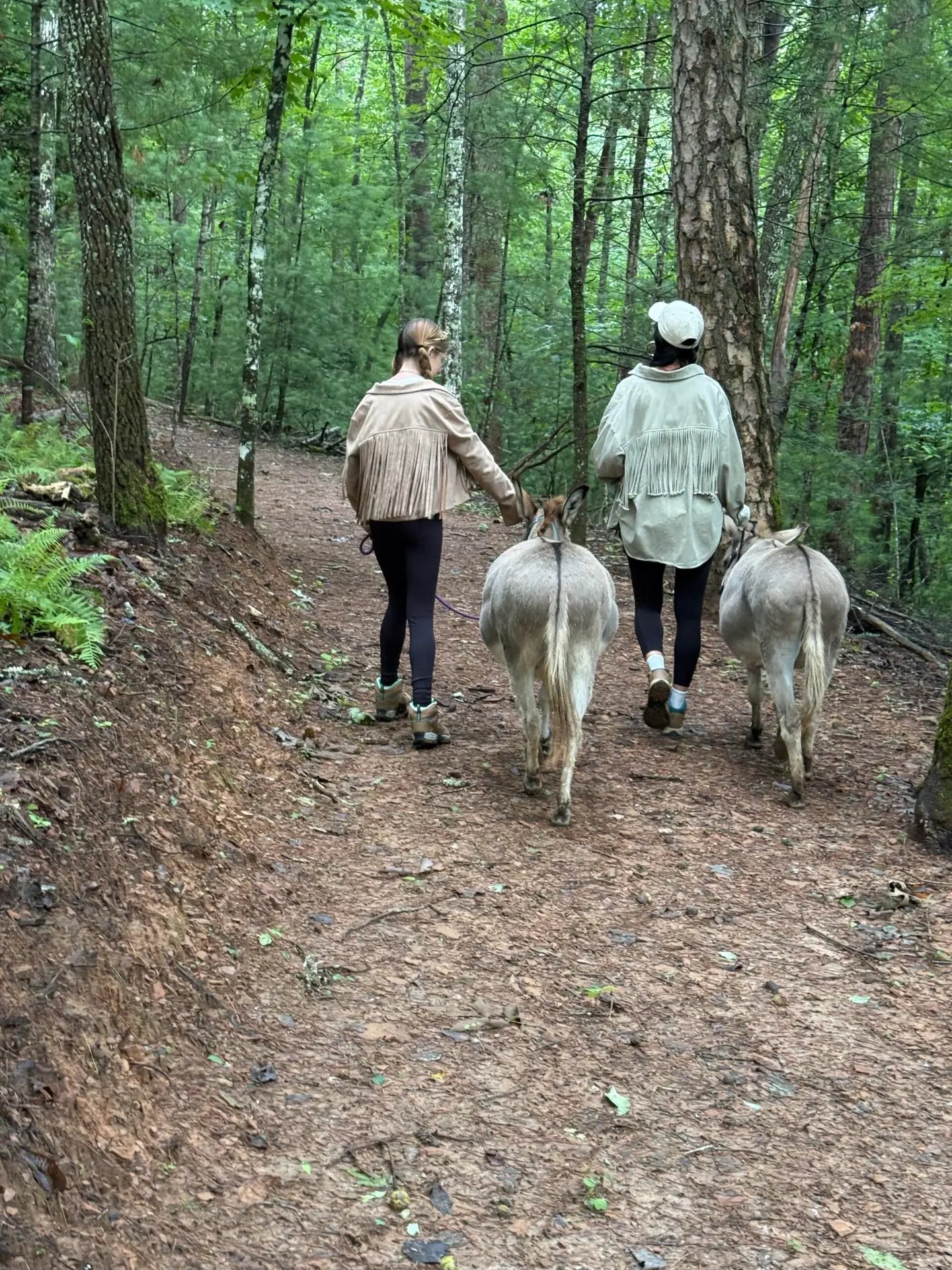 Family Fun Activities in north Georgia