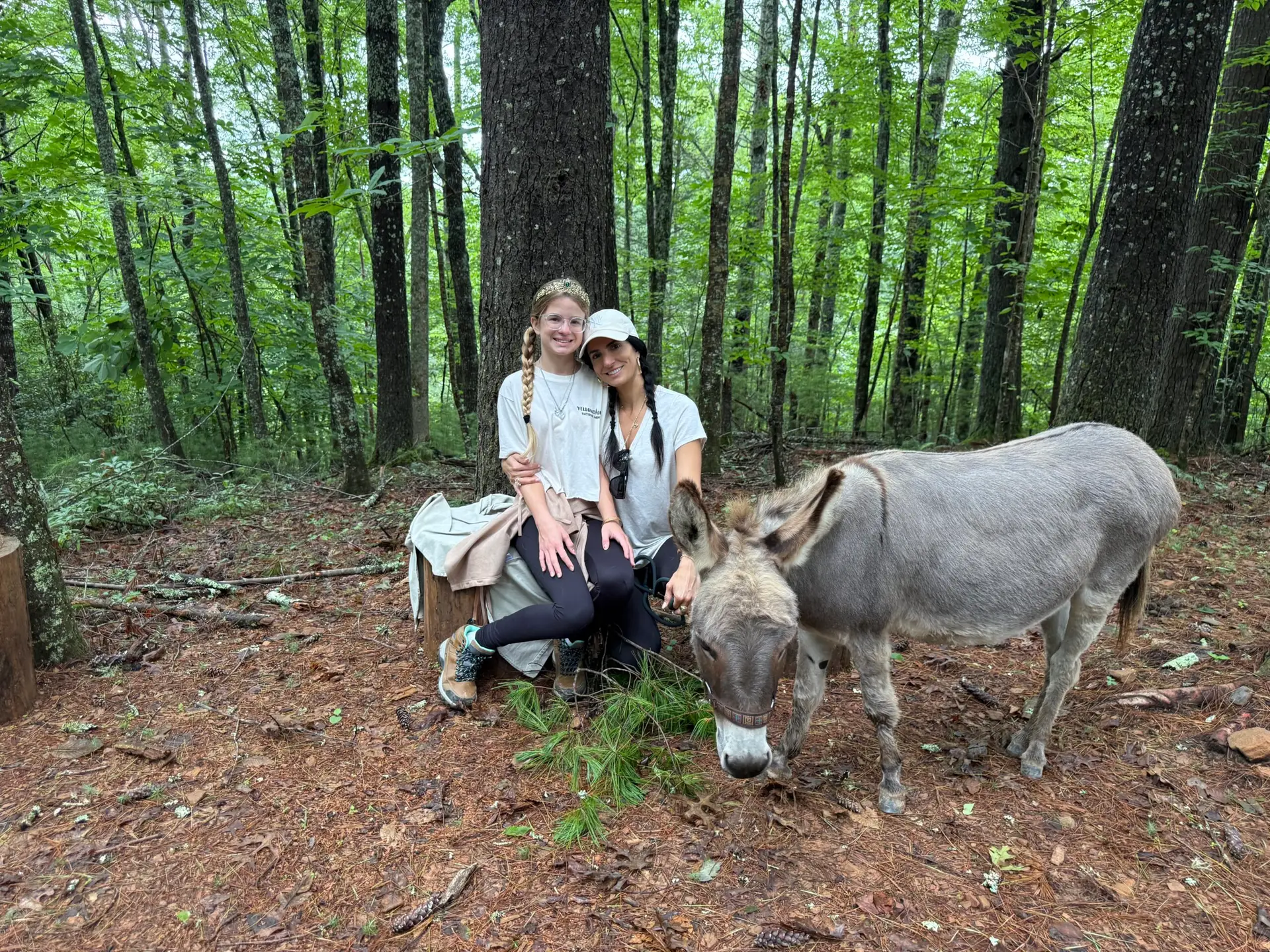 Family Fun Activities in north Georgia