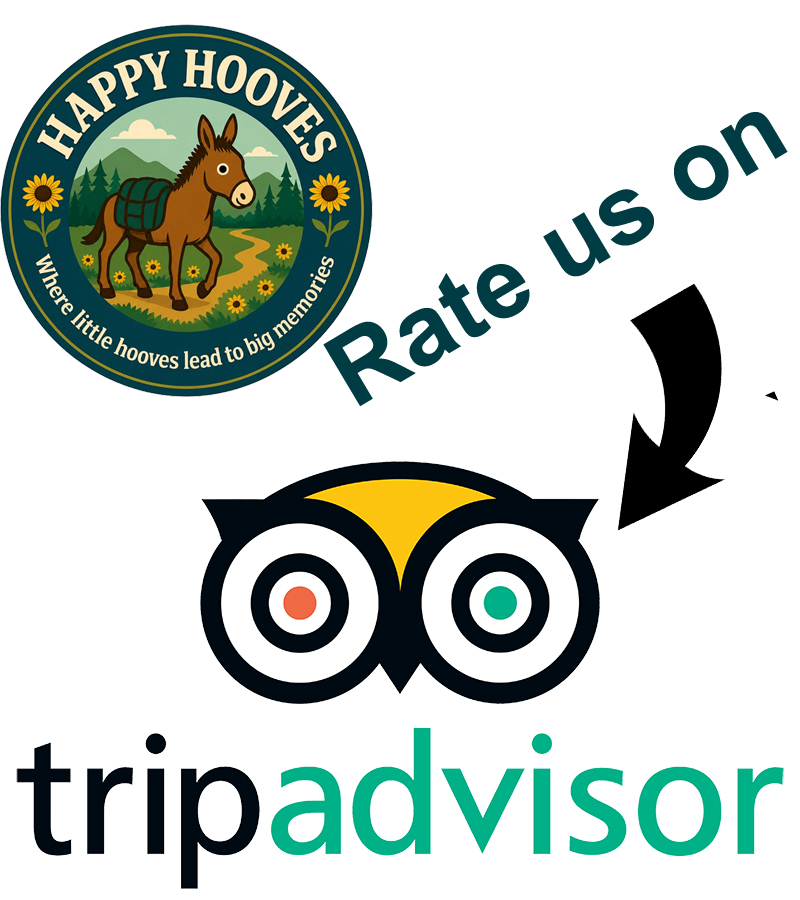 rate us on trip advisor