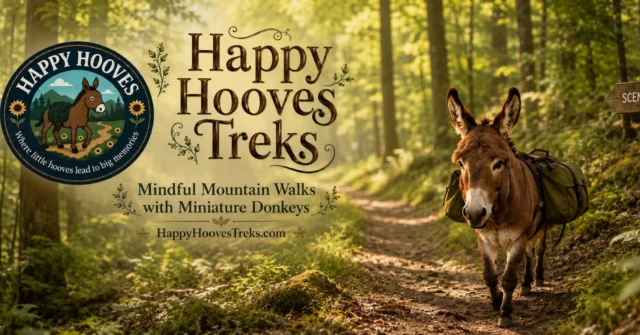 Let our little hooves lead your way💗